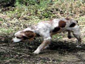 photo coins arrondis